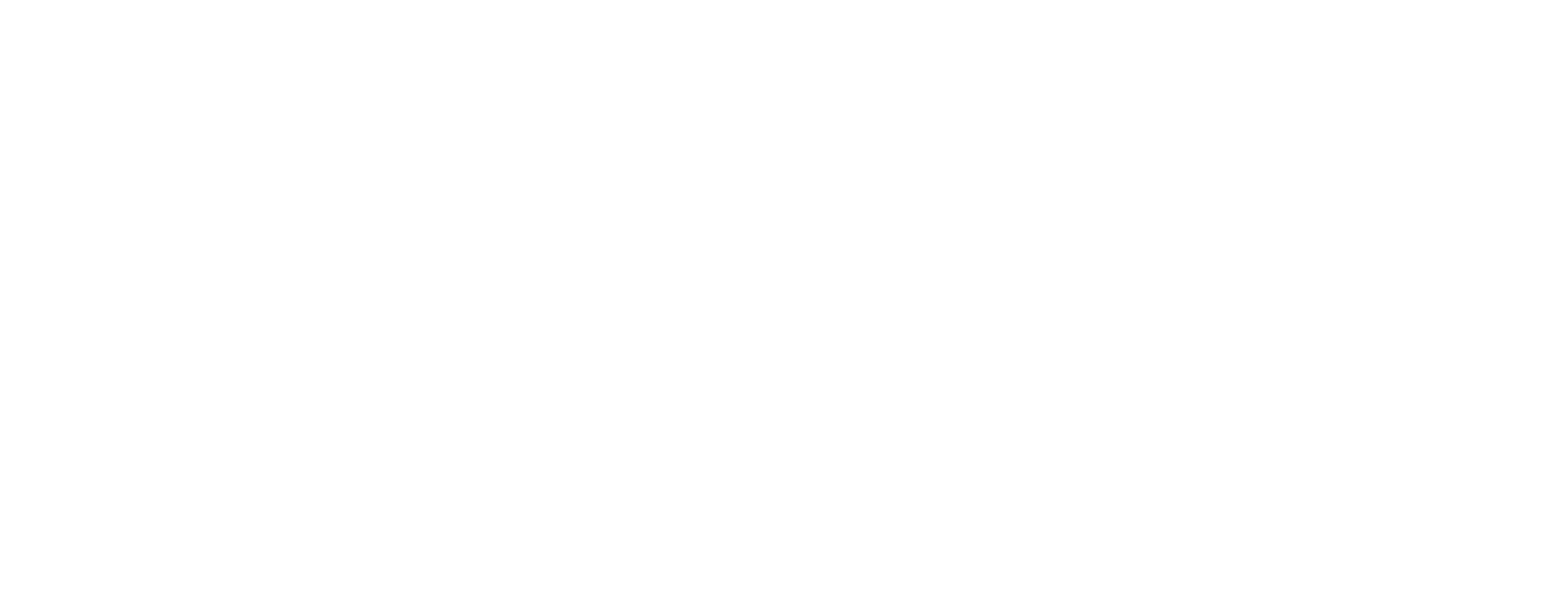 YWAM Ships Logo - White